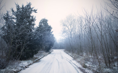 Obraz premium Winter road in the forest