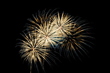 Fireworks light up the sky