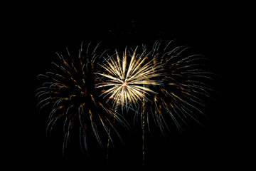 Fototapeta premium Fireworks light up the sky