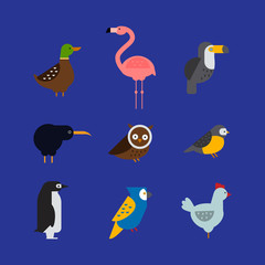 Birds vector set illustration isolated