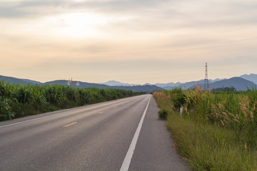 Fototapeta premium Road