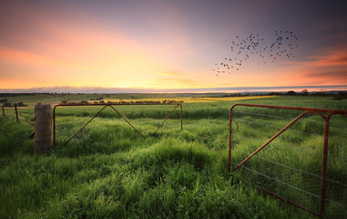 Rusty gates open to wheat and canola crops - 131849929
