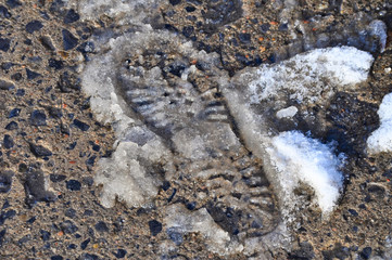 Naklejka premium Footprint on mud and snow