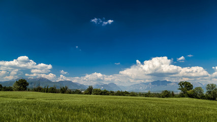 Fototapeta premium Fields of Italy in a spring day
