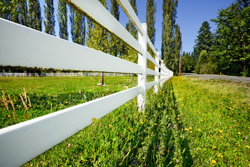 Pasture fence next to a country road on a sunny summer afternoon