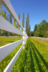 Pasture fence next to a country road on a sunny summer afternoon