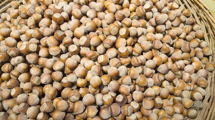 hazelnuts texture details