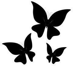 Obraz premium beautiful butterflies, isolated on a white