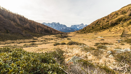 Autumn morning in the alps
