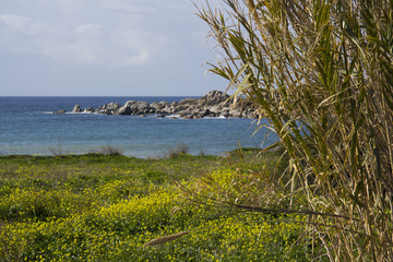 Obraz premium Quartu Sant'Elena: spiaggia di Is Mortorius -Sardegna