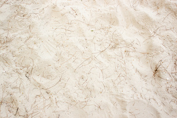 grunge sand beach texture background