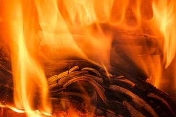 Fire wood burns in a fireplace