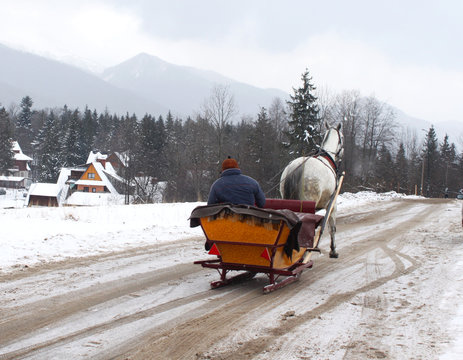 Winter road with sledge and horse