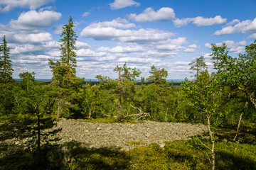 A beautiful rocky forest landscape in Finland