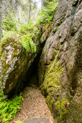 A beautiful rocky forest landscape in Finland