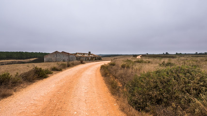 Sand road in Algarve