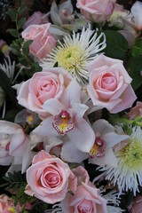 Pink roses and Cymbidium orchids