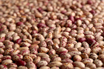 Beans textured background
