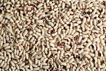 White beans textured background