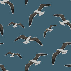 Seamless pattern sea gull, vector