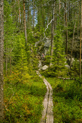 A beautiful hiking path in Finland forest