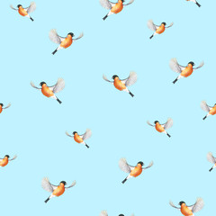Watercolor bullfinch on a blue background. bird in flight handwork drawing. Christmas symbol. Beautiful winter bird with grey and pinkish plumage soaring in clouds. Handwork. Seamless pattern