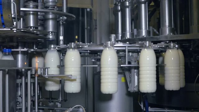 Milk factory. Bottles of milk moving on a industrial conveyor. 4K.