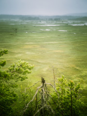 A beautiful Finnish mire landscape from above - dreamy, foggy look
