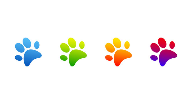 impronte, zampe, animali, orme