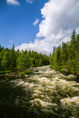 Fototapeta na wymiar A beautiful river landscape in Finland