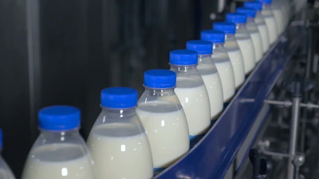 Milk factory. Bottles of milk moving on a industrial conveyor. 4K.