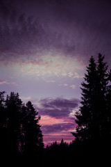 Fototapeta na wymiar A beautiful sunset in the forest in Finland