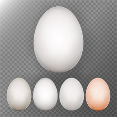 Chicken Egg Set. Transparent Background. Realistic Blank Of Natural Ecological Product. Healthy Food. Dietary . Easter Symbol.  Template For Your Design. Vector Illustration