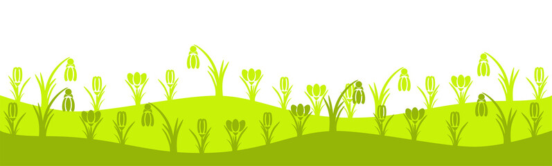 Grüne Krokus Frühlingswiese