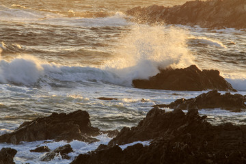 In Sardegna mare e cielo, acqua e rocce, tramonti e alba, un isola in Italia

