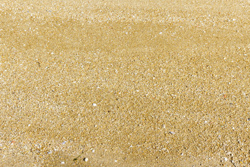 Beach sand grains