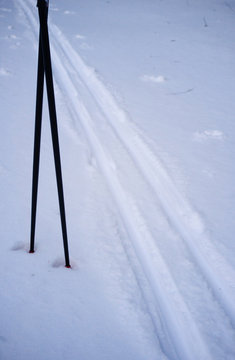 Cross-country ski trail and ski poles in the snow, winter background, weather, seasons