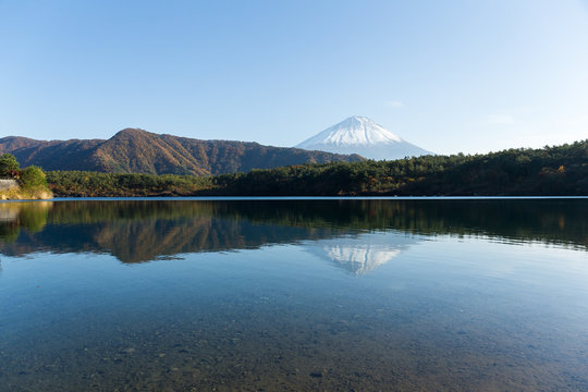 Mount Fuji and Saiko Lake