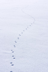Line of man's footprints in the snow