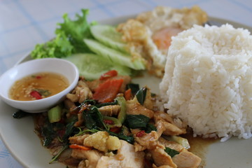 Spicy Chicken Rice and Egg