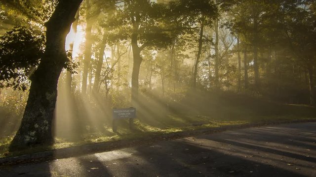 Panning towards Mystical Golden Sun Rays with Fog Passing through the Trees during an Early Autumn Morning at an Overlook on the Blue Ridge Parkway in the Smoky Mountains