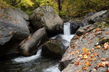 Naklejka na ściany i meble Stara reka Reserve in the autumn, Stara planina mountain, Bulgaria