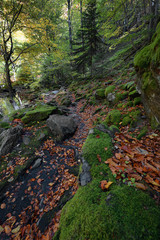 Naklejka na ściany i meble Stara reka Reserve in the autumn, Stara planina mountain, Bulgaria