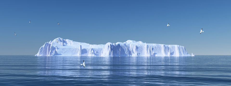 Eisberg und Seemöwen