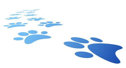 impronte, zampe, animali, orme © xyz+