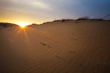 Fototapeta na wymiar Beautiful Landscape with sunset sky and wavy sand. Composition o