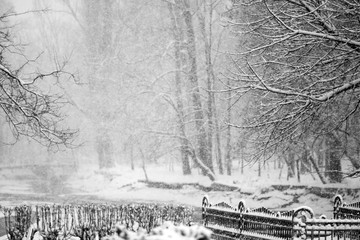 Winter landscape in the park