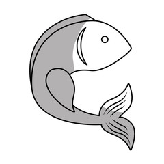 sea fish icon over white background. vector illustration