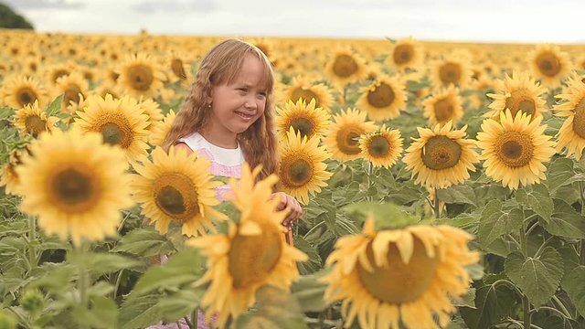 little girl smiling in a field of sunflowers, family vacation on the nature