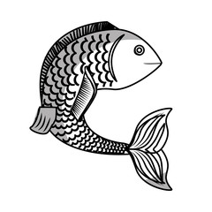 sea fish icon over white background. vector illustration